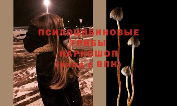 мет Каменногорск