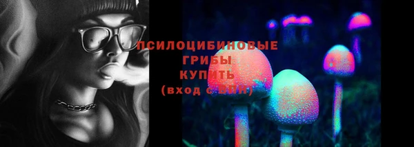 не бодяженный Каменск-Шахтинский