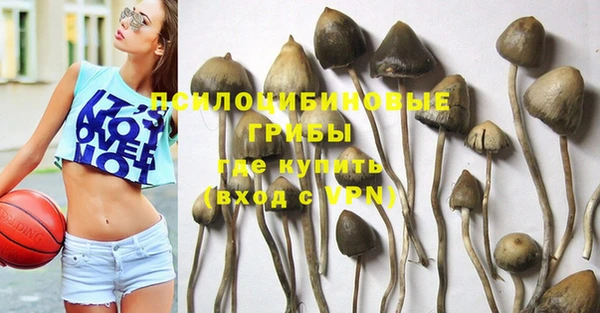 не бодяженный Каменск-Шахтинский