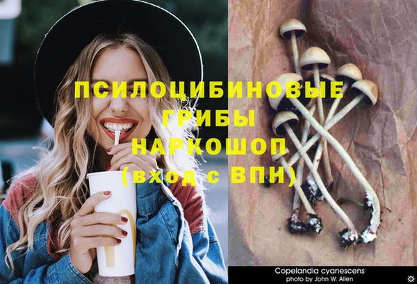 мет Каменногорск