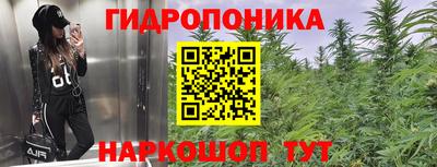 мдма Можга