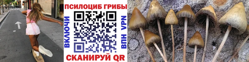 mega ссылка  Миллерово  Галлюциногенные грибы Magic Shrooms 