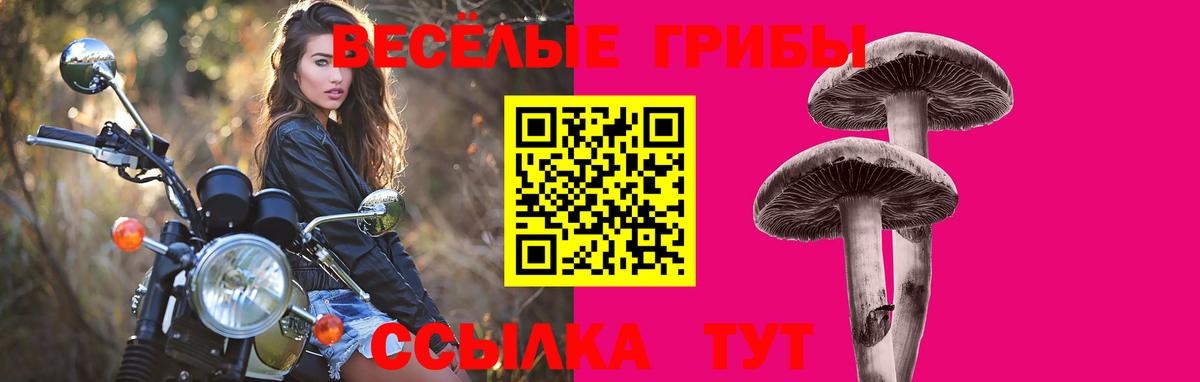 Псилоцибиновые грибы мухоморы Миллерово